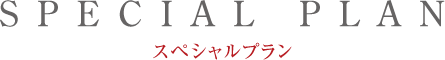 期間限定スペシャルプラン